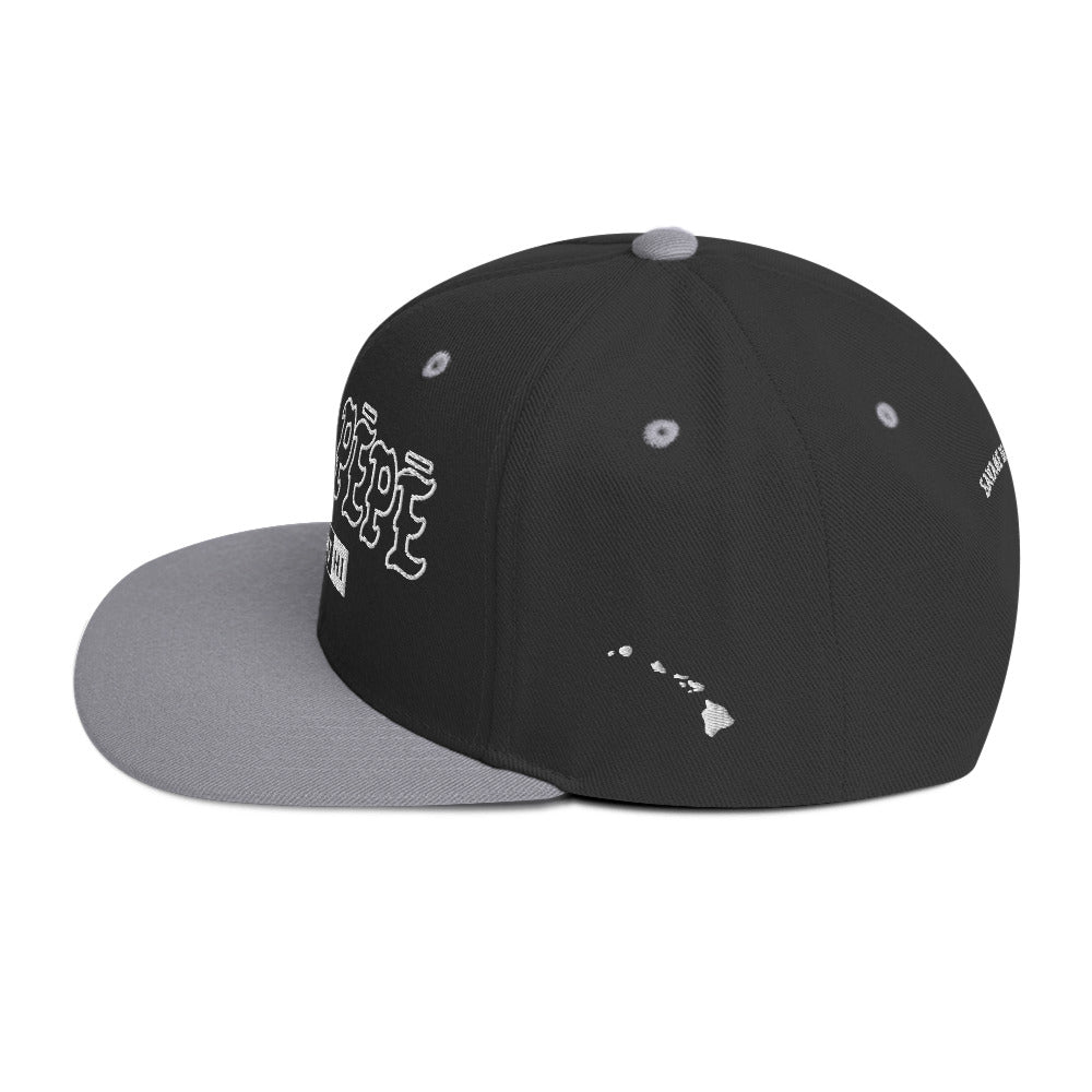 Hanapēpē Snapback Hat — Black/ Silver — left side view