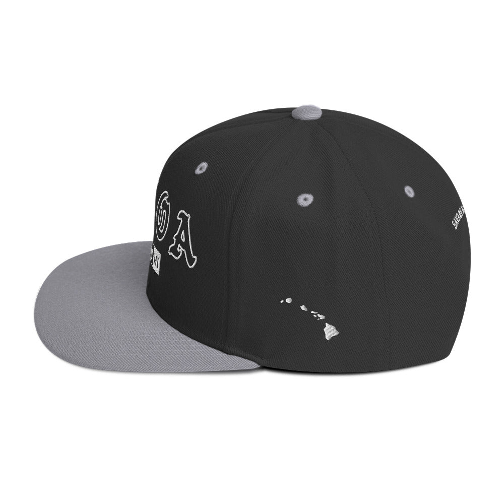 Kōloa Snapback Hat — Black/ Silver — left side view