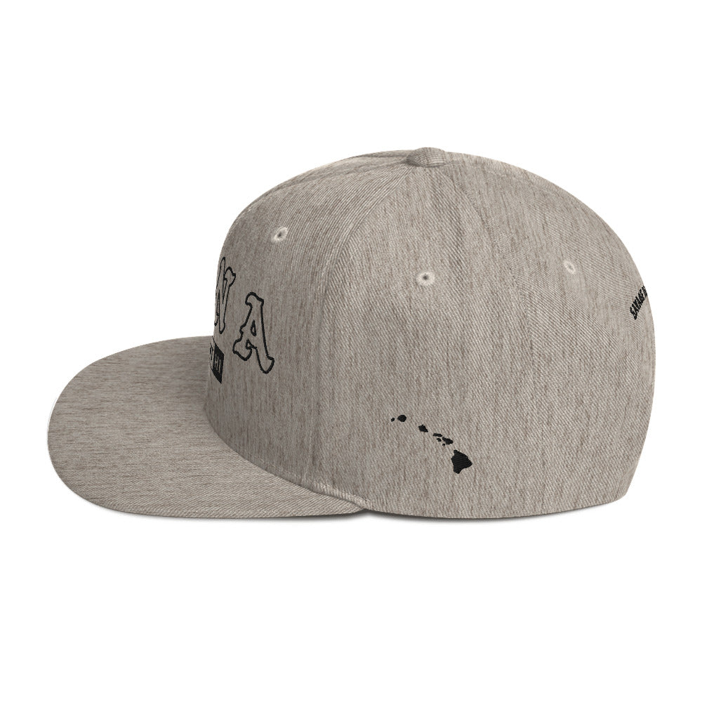 Hāna Snapback Hat — Heather Grey — left side view