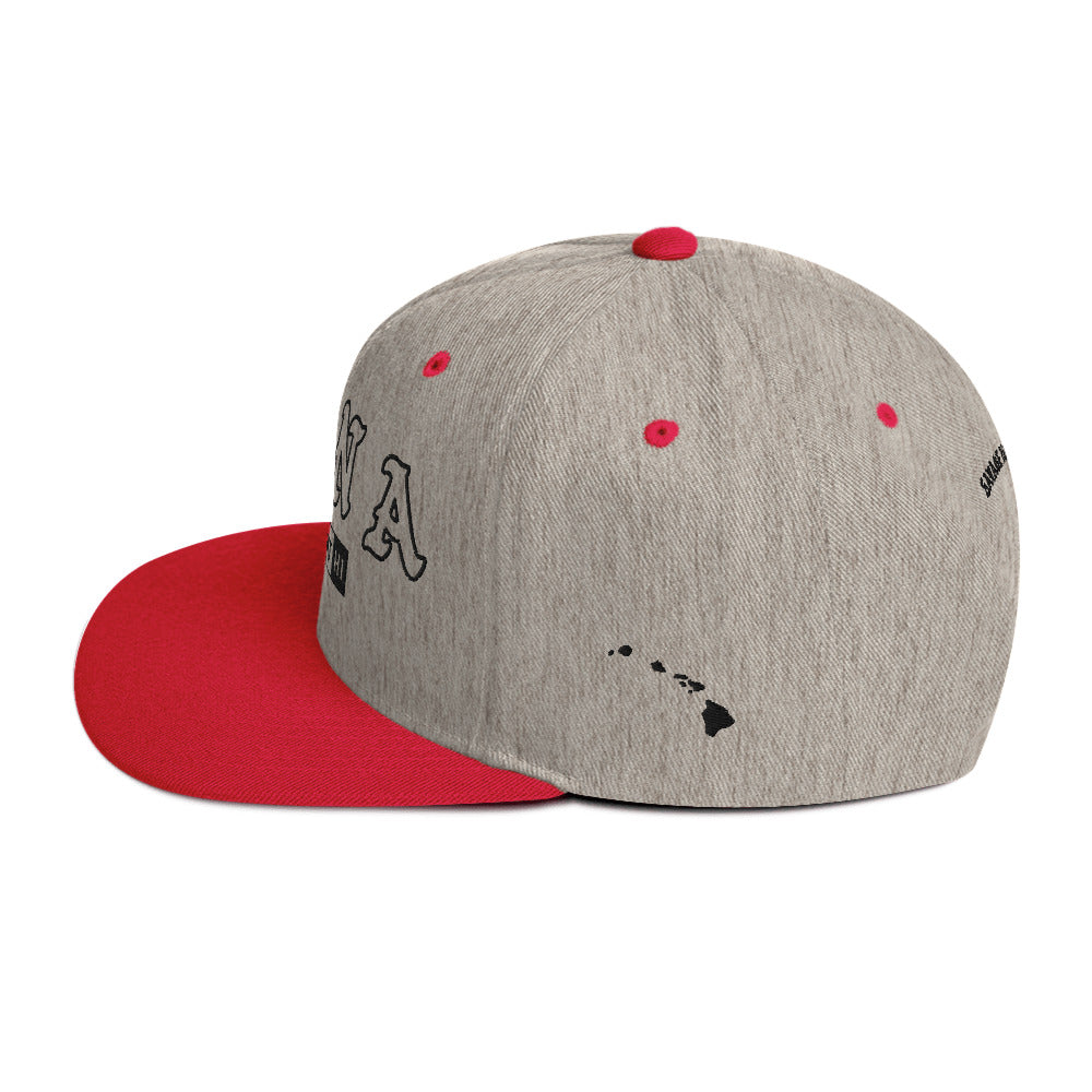Hāna Snapback Hat — Heather Grey/ Red — left side view